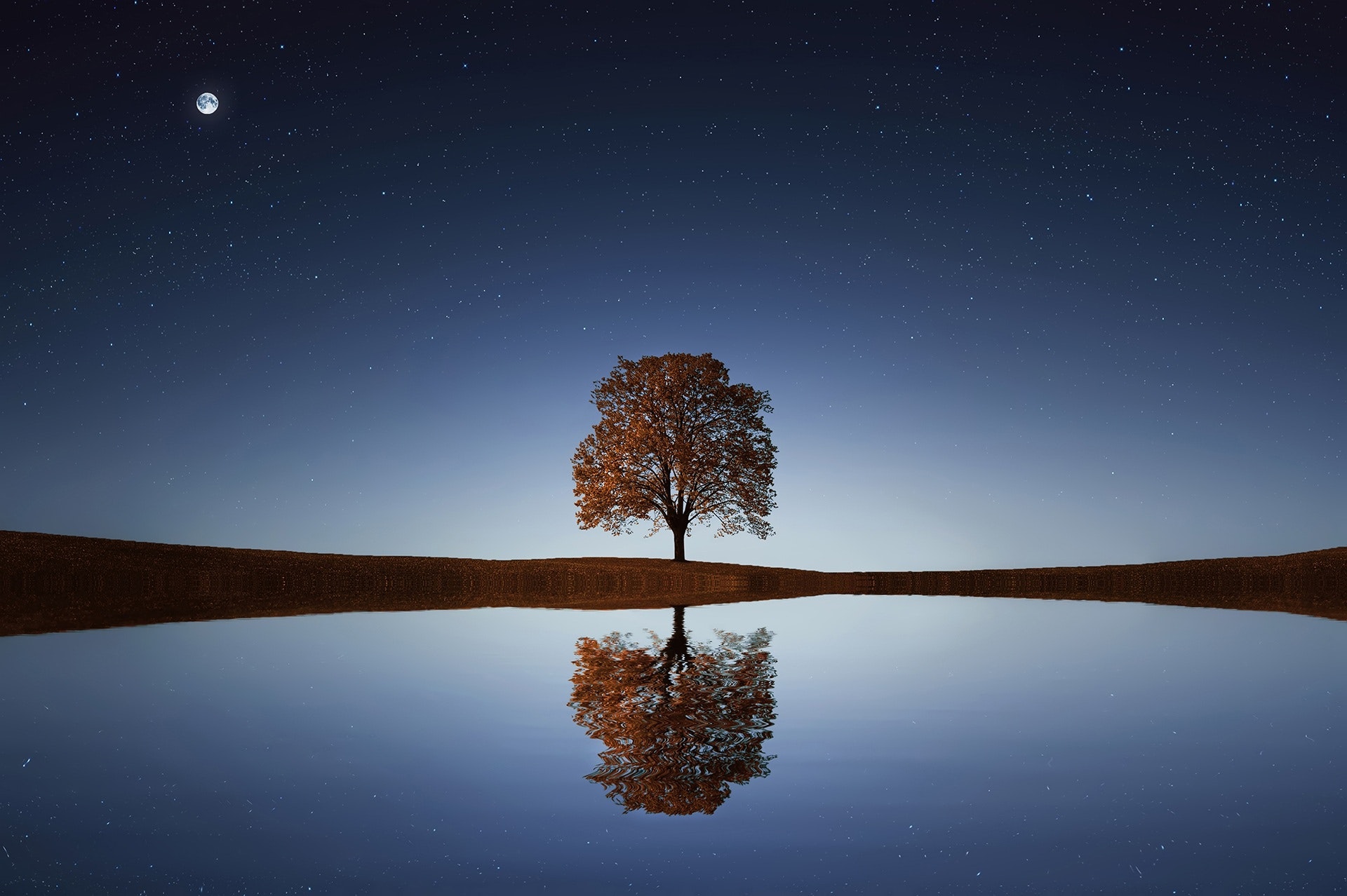 1 Arbre, 1 Mayennais