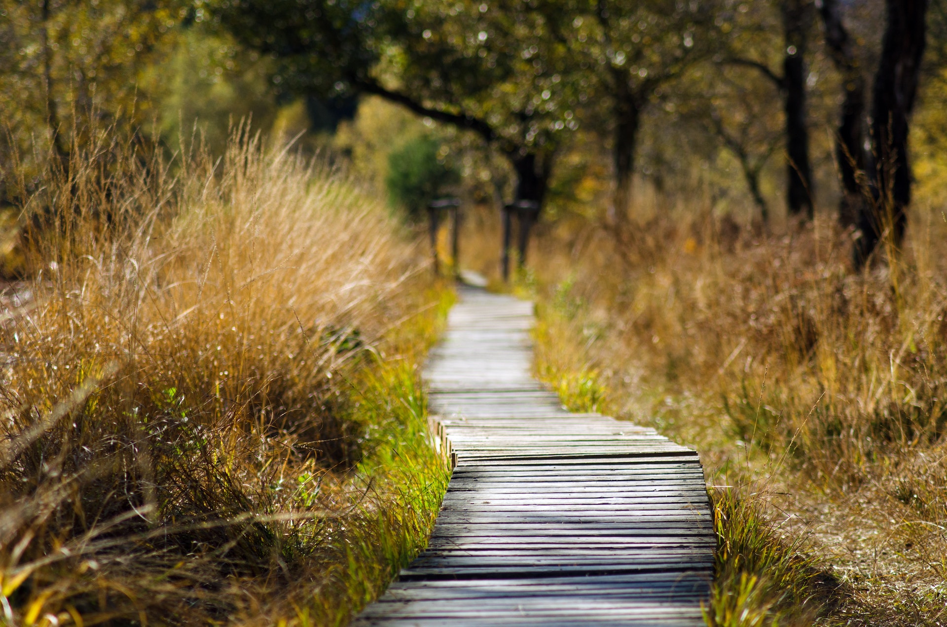 Chemin de Randonnée