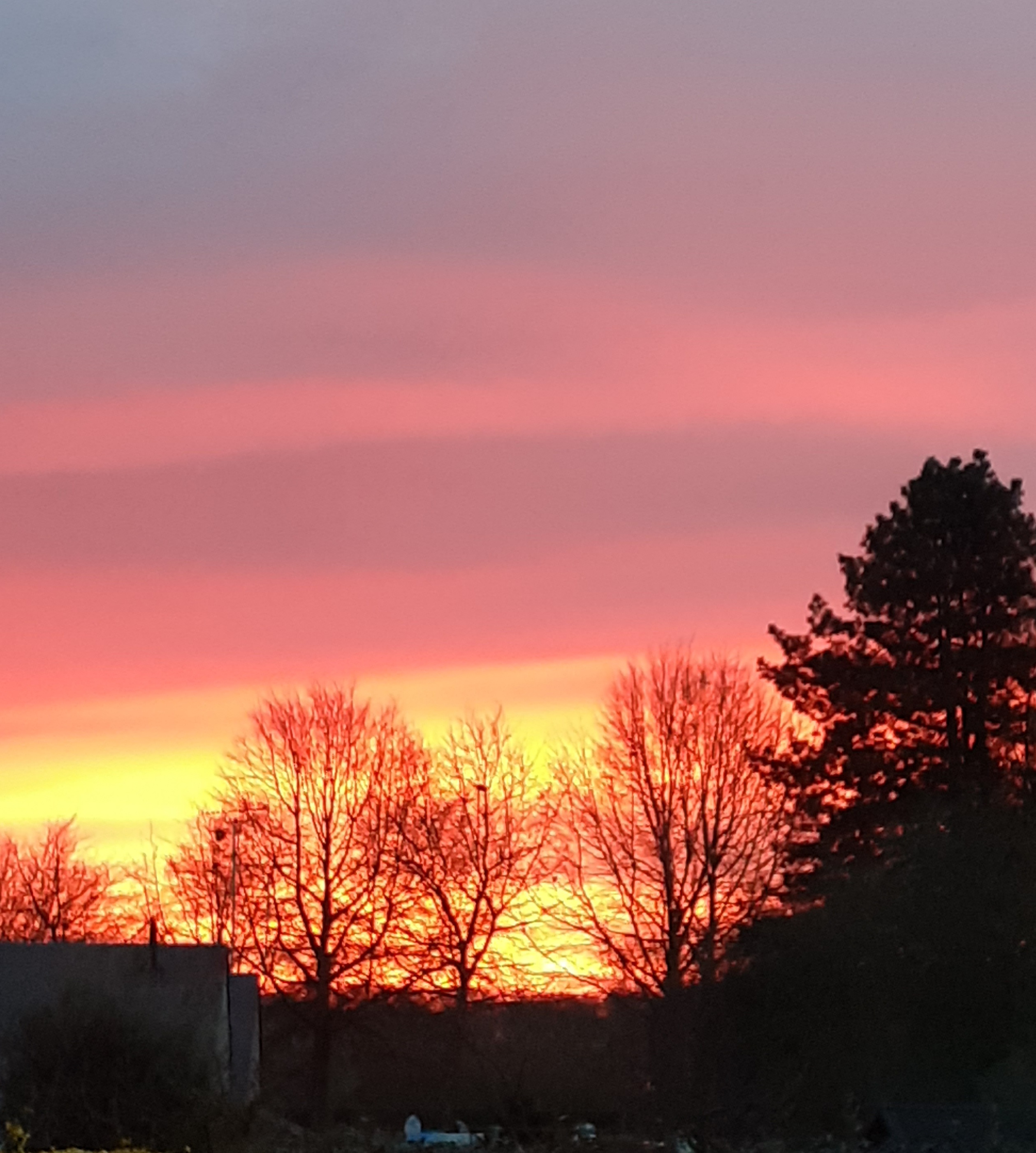 Coucher de soleil au plan d'eau