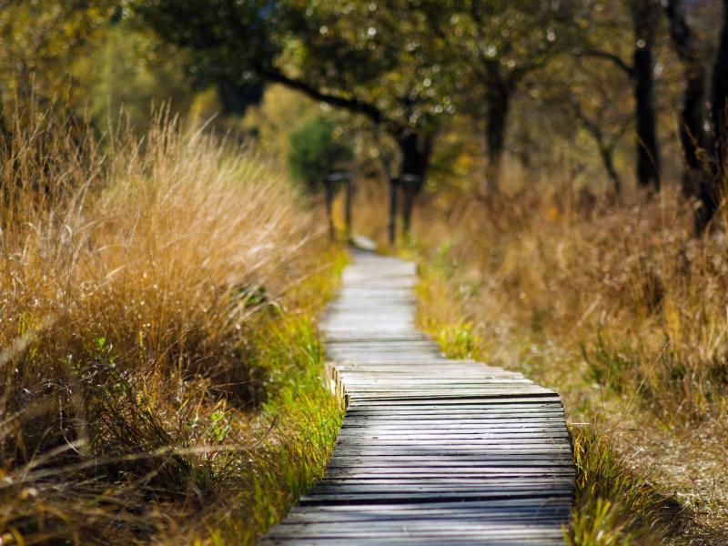 Chemin de Randonnée